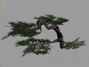 mount putuo-pine 16 Modèle 3D
