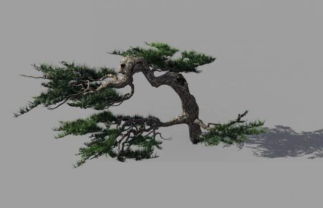mount putuo-pine 19 3D 모델 .c4d .max .obj .3ds .fbx .stl .blend 
