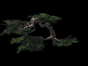 mount putuo-pine 19 3D Model