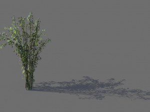 mount putuo-bamboo 22 Modelo 3D