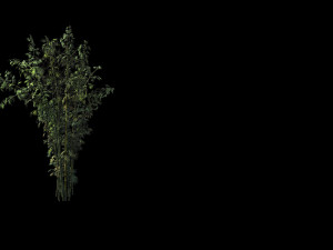 mount putuo-bamboo 22 Model 3D