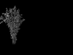mount putuo-bamboo 22 Model 3D
