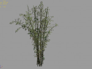 mount putuo-bamboo 22 Model 3D