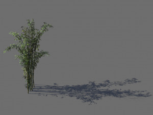 mount putuo-bamboo 23 Modelo 3D