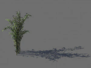 माउंट पुटुओ-बांस 23 3D मॉडल