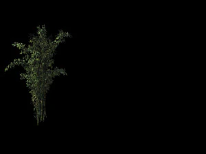 mount putuo-bamboo 23 3D Model