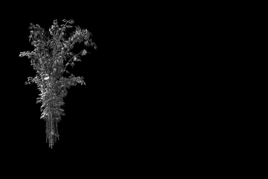 mount putuo-bamboo 24 3D Model .c4d .max .obj .3ds .fbx .stl .blend 