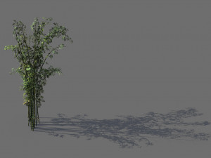 mount putuo-bamboo 24 3D Model