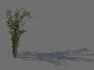 mount putuo-bamboo 24 3D Model