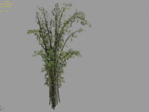 mount putuo-bamboo 24 3D Model