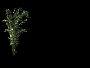 mount putuo-bamboo 24 3D Model