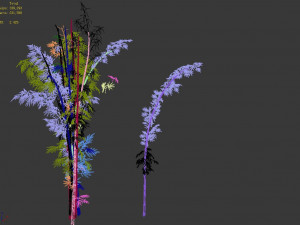 putuo mountain-bamboo 25 3D Model