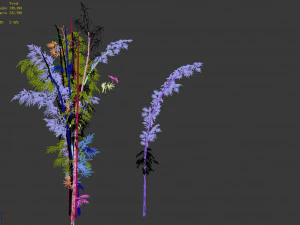 putuo mountain-bamboo 25 3D Model