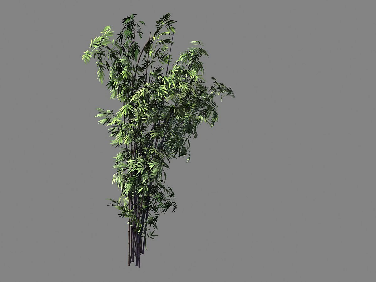 mount putuo-bamboo 26 3D Model .c4d .max .obj .3ds .fbx .stl .blend 