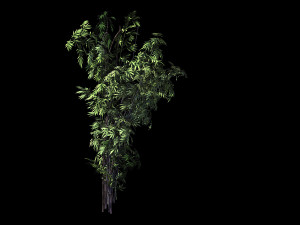 mount putuo-bamboo 26 3D Model