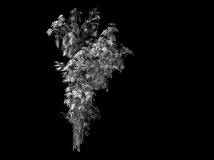 mount putuo-bamboo 26 3D Model