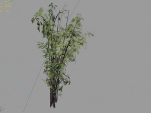 mount putuo-bamboo 26 3D Model