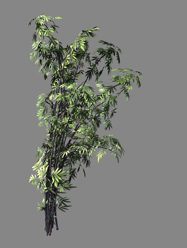 mount putuo-bamboo 27 3D मॉडल .c4d .max .obj .3ds .fbx .stl .blend 