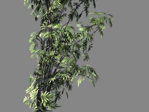 mount putuo-bamboo 27 Modelo 3D