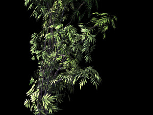 mount putuo-bamboo 27 3D मॉडल