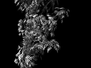 普陀竹山 27 3Dモデル