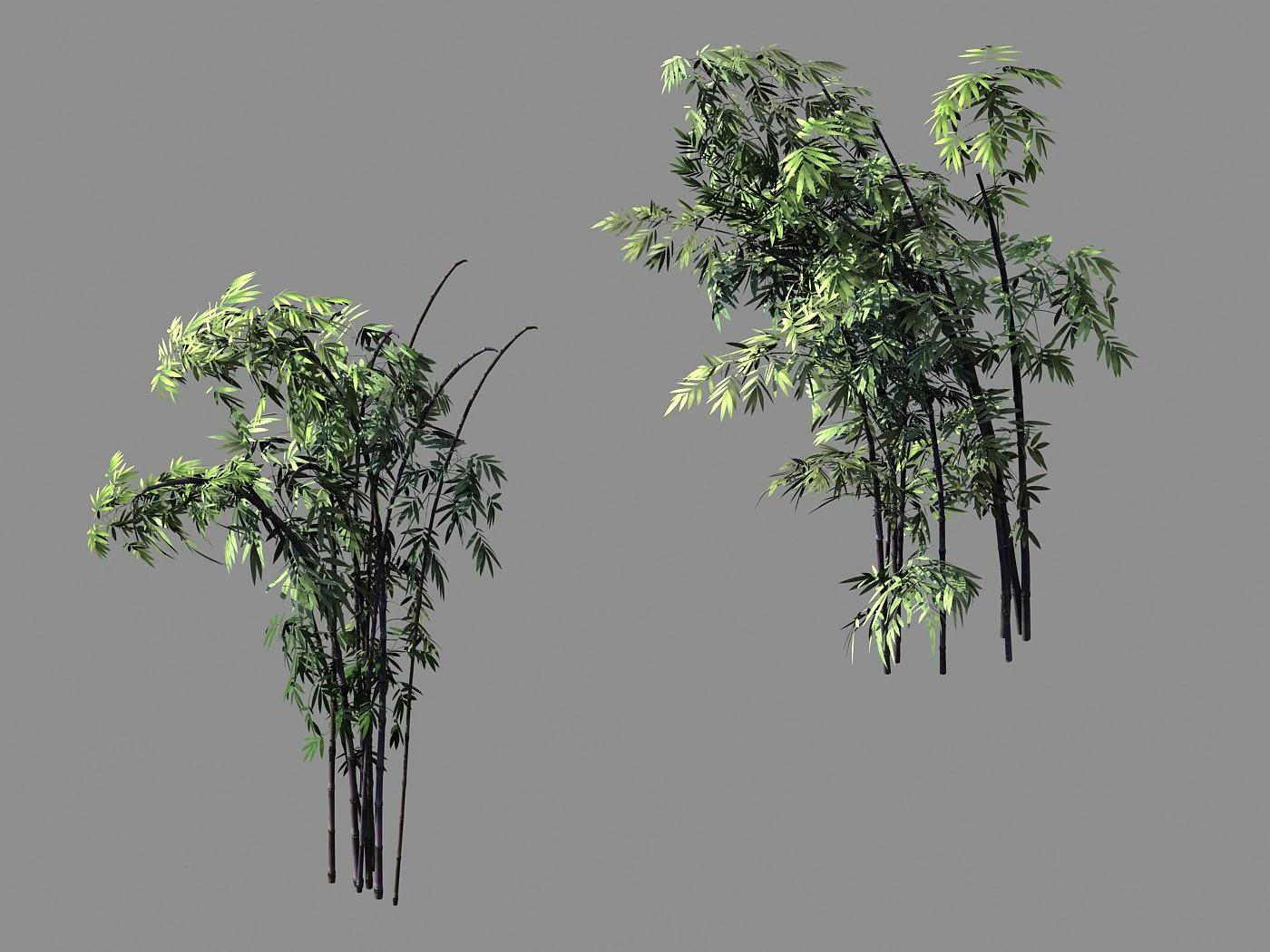 mount putuo-bamboo 28 3D Model .c4d .max .obj .3ds .fbx .stl .blend 