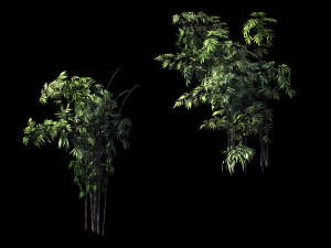 mount putuo-bamboo 28 3D Model