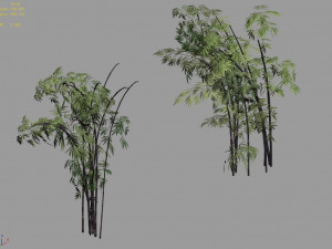 mount putuo-bamboo 28 Modelo 3D
