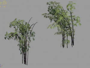 mount putuo-bamboo 28 3D Model