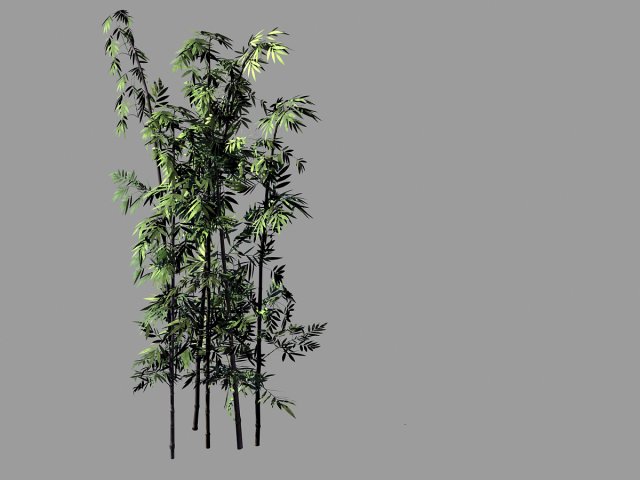 putuo mountain-bamboo 29 Model 3D .c4d .max .obj .3ds .fbx .stl .blend 
