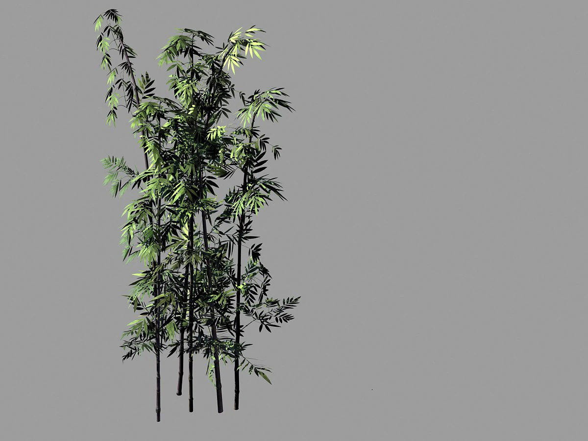 putuo mountain-bamboo 29 3D Model .c4d .max .obj .3ds .fbx .stl .blend 