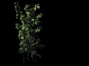 putuo mountain-bamboo 29 Model 3D
