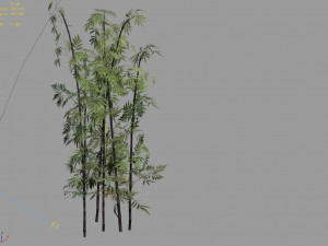 putuo mountain-bamboo 29 Model 3D