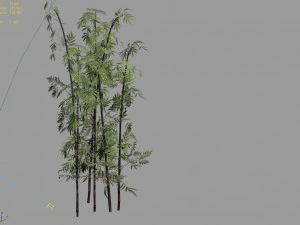 putuo mountain-bamboo 29 3D Model