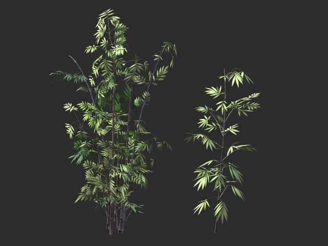 putuo mountain-bamboo 30 3Dモデル .c4d .max .obj .3ds .fbx .stl .blend 