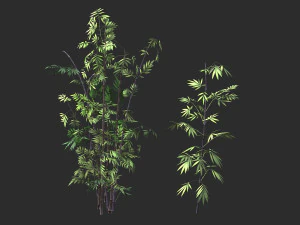 putuo berg-bamboe 30 3D Model