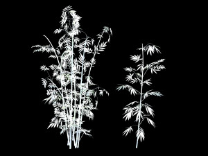 putuo mountain-bamboo 30 3Dモデル