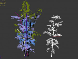 putuo mountain-bamboo 30 3Dモデル