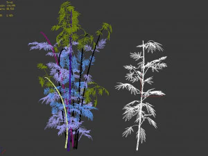 putuo mountain-bamboo 30 3D Model