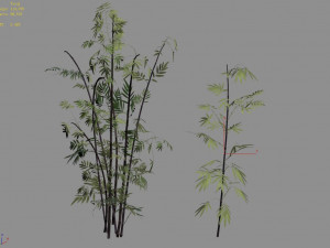 putuo mountain-bamboo 30 3Dモデル