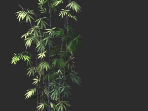 putuo mountain-bamboo 35 Modelo 3D