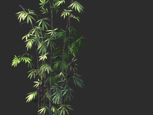 putuo berg-bamboe 35 3D Model