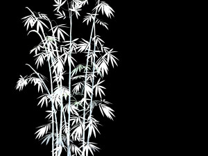 putuo mountain-bamboo 35 3D Model