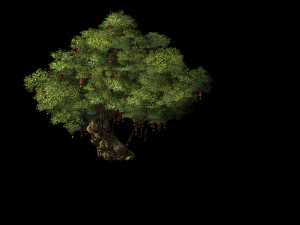 blessing-ornaments-wishing tree 12 3D मॉडल