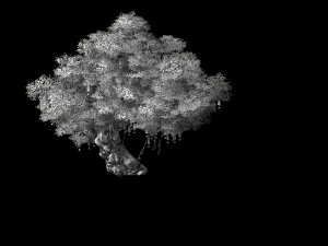 blessing-ornaments-wishing tree 12 3D Model