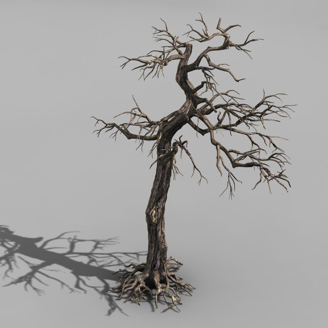 qianhui forest-difu-dead tree 002 Modello 3D .c4d .max .obj .3ds .fbx .stl .blend 