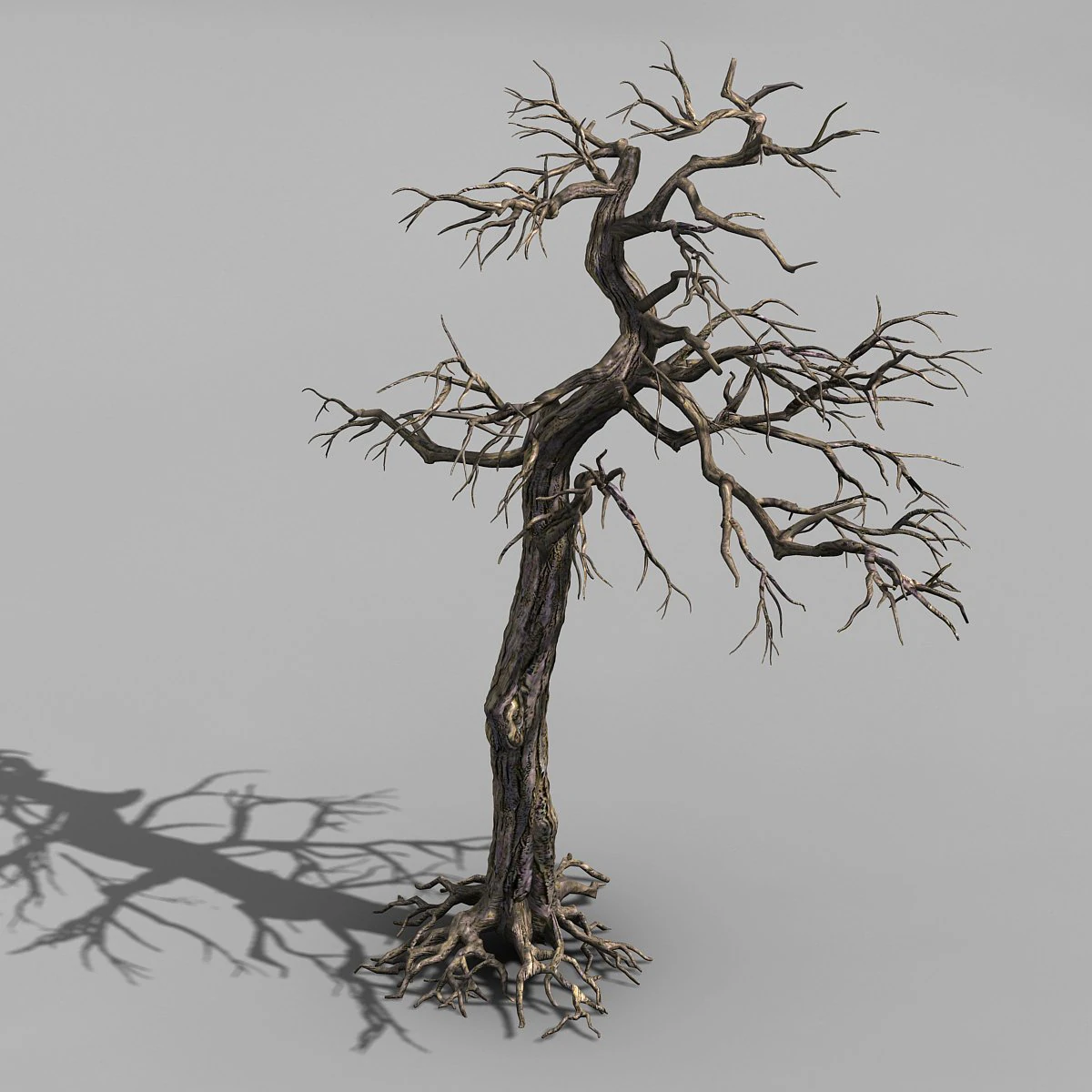 qianhui forest-difu-dead tree 002 3D Model .c4d .max .obj .3ds .fbx .stl .blend