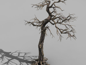 qianhui forest-difu-dead tree 002 Modelo 3D