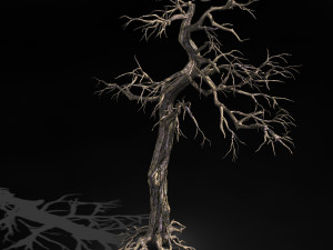 qianhui forest-difu-dead tree 002 Modello 3D