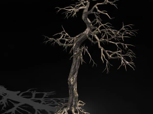 qianhui forest-difu-dead tree 002 3D Model